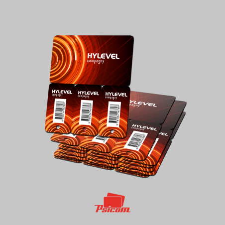 carte ft CB + 3 mini cartes plastique - PSICOM