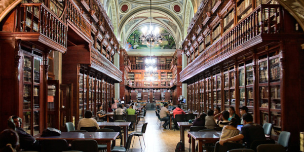 La carte de lecteur dans les bibliothèques : outil indispensable !